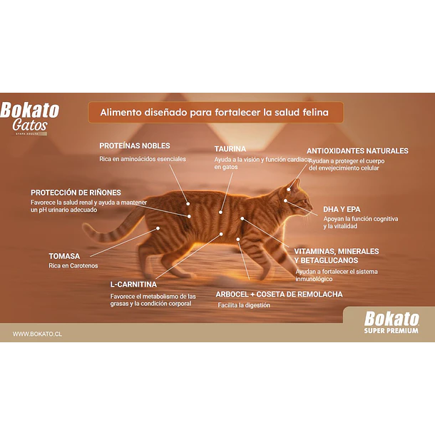 Bokato Gato Adulto Esterilizado 7kg 4