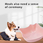 PLATO  Diseño de Gato para Perros Pequeños y Gatos 4