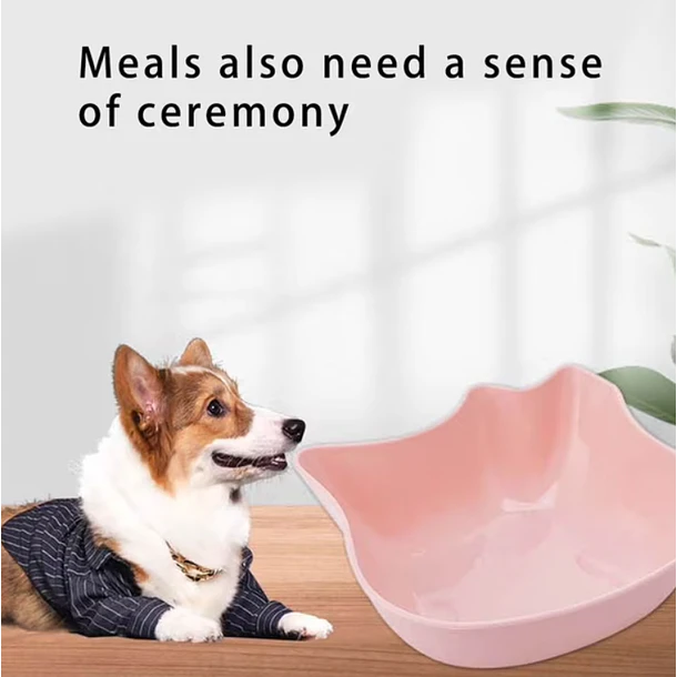 PLATO  Diseño de Gato para Perros Pequeños y Gatos 4