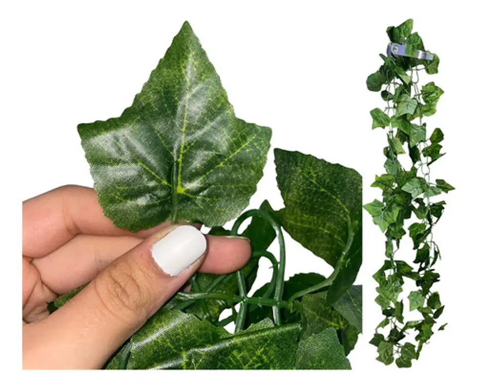 Enredadera 1 Paquete X 1und De 240 Cm Hoja Mata Flor Oferta  2