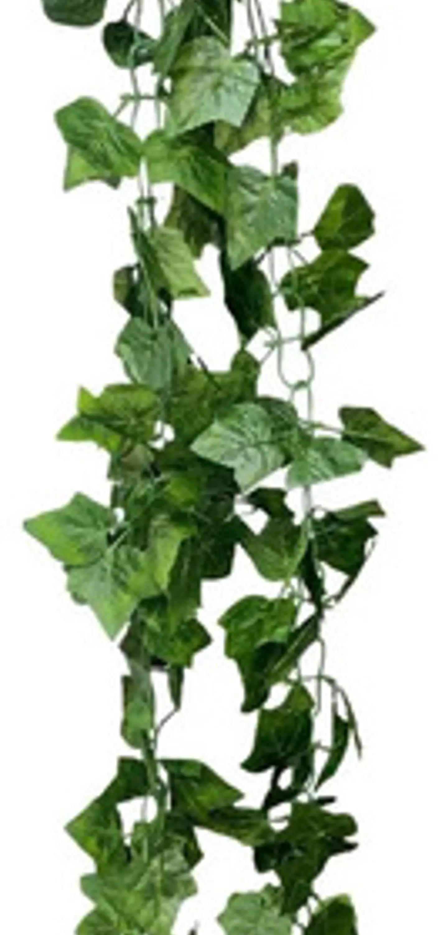 Enredadera 1 Paquete X 1und De 240 Cm Hoja Mata Flor Oferta  4