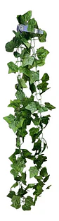 Enredadera 1 Paquete X 1und De 240 Cm Hoja Mata Flor Oferta  - Miniatura 4