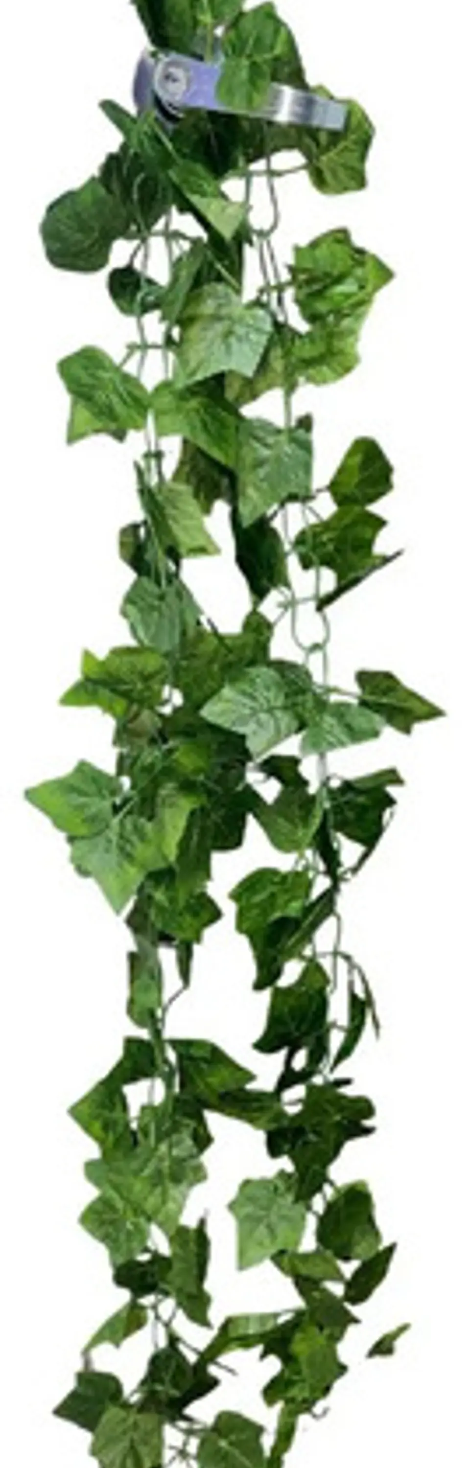 Enredadera 1 Paquete X 1und De 240 Cm Hoja Mata Flor Oferta  4