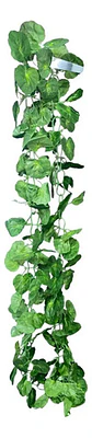 Enredadera 1 Paquete X 1und De 240 Cm Hoja Mata Flor Oferta  - Miniatura 7