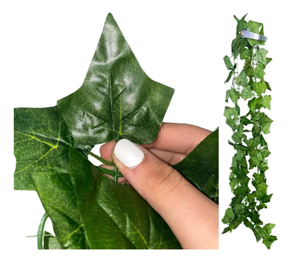 Enredadera 1 Paquete X 1und De 240 Cm Hoja Mata Flor Oferta  8