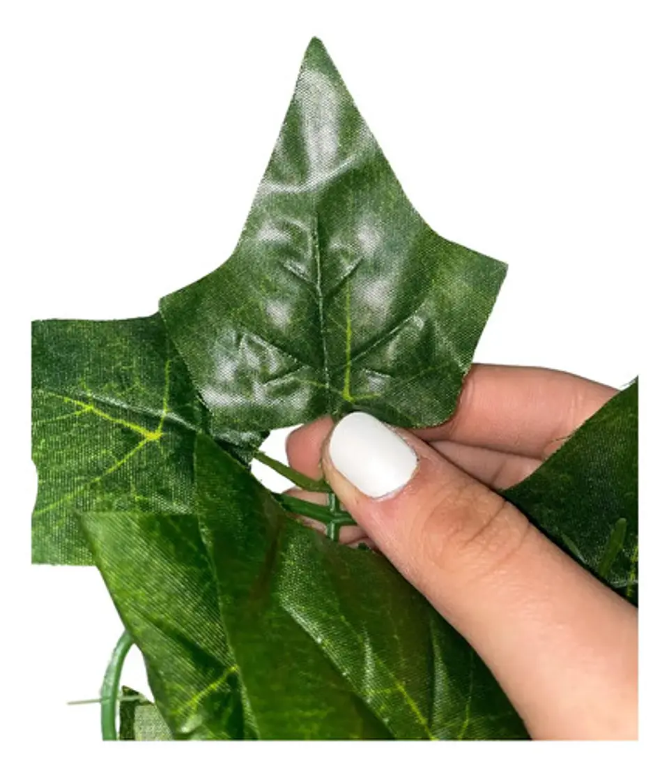 Enredadera 1 Paquete X 1und De 240 Cm Hoja Mata Flor Oferta  9