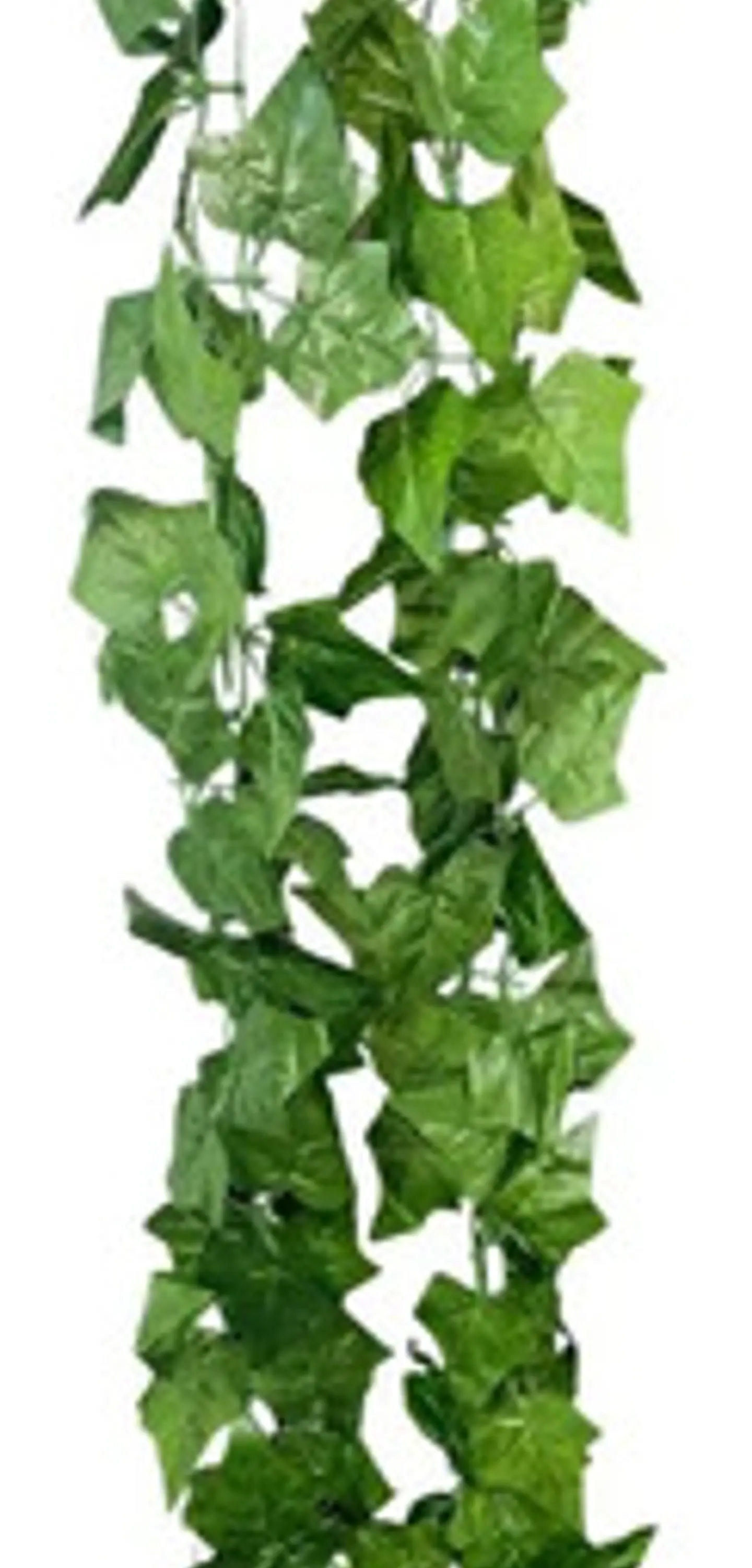 Enredadera 1 Paquete X 1und De 240 Cm Hoja Mata Flor Oferta  10