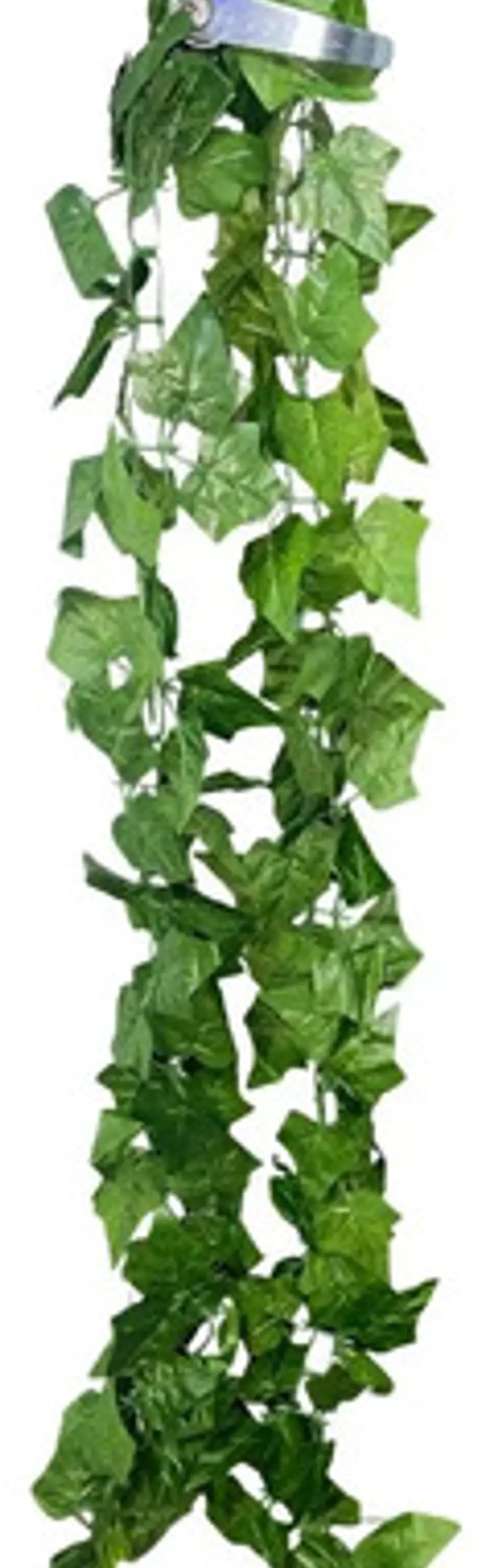 Enredadera 1 Paquete X 1und De 240 Cm Hoja Mata Flor Oferta  10