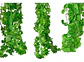 Enredadera 1 Paquete X 12und De210 Cm Hoja Mata Flor Oferta  - Miniatura 2