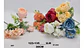 Matas Rosas Flores Artificiales Decoración Plantas 119-87 - Miniatura 9