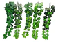 Helechos Enredadera Matas Rosas Flores Artificiales 119-48  - Miniatura 1