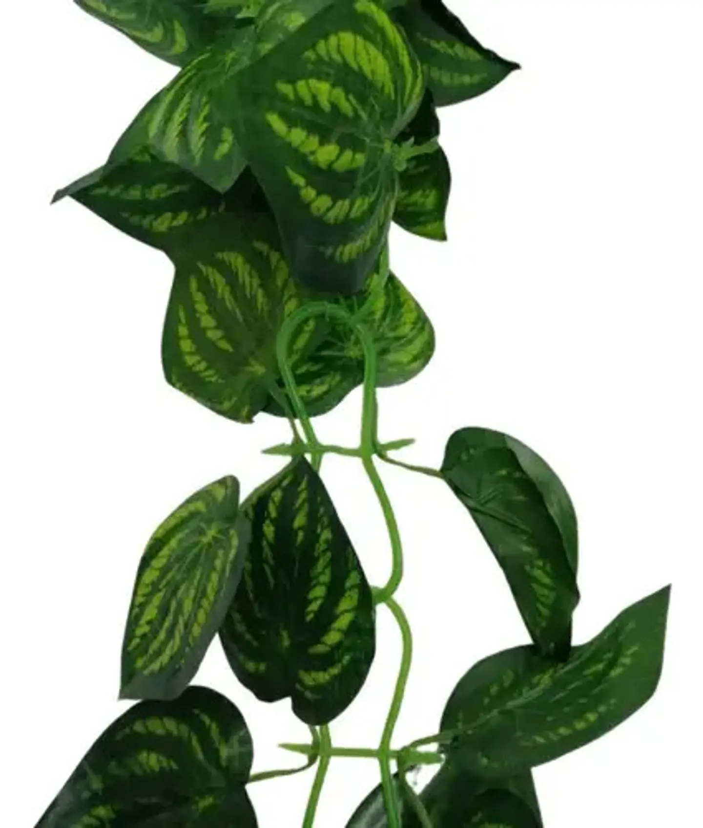 Enredadera Paquete X 2und De 240 Cm Hoja Mata Flor Gota 1
