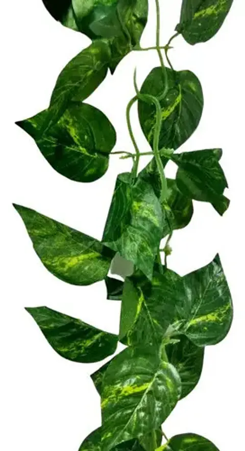Enredadera Paquete X 2und De 240 Cm Hoja Mata Flor Gota