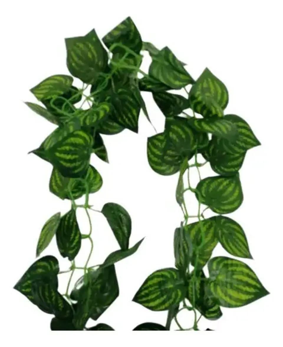Enredadera Paquete X 2und De 240 Cm Hoja Mata Flor Gota 3