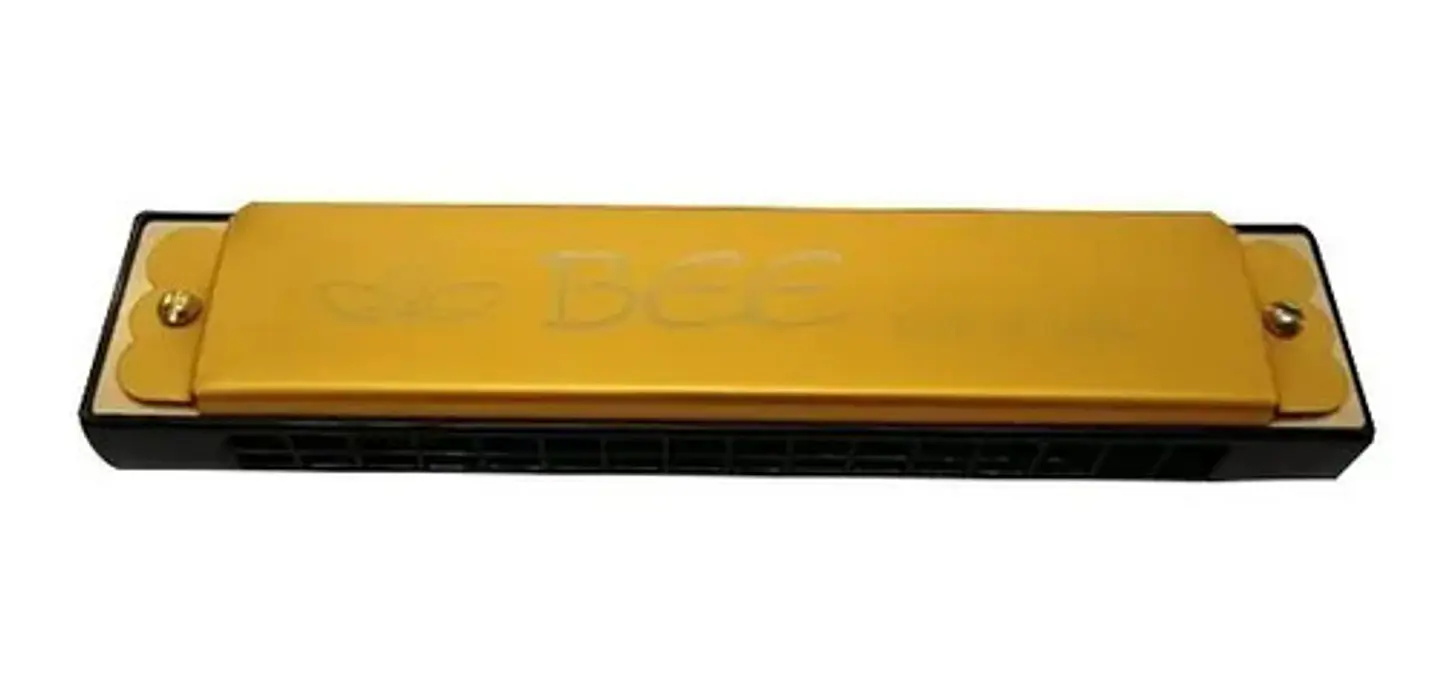 Bee Harmonica Df16 Cromática 16 Celdas Con Estuche 5