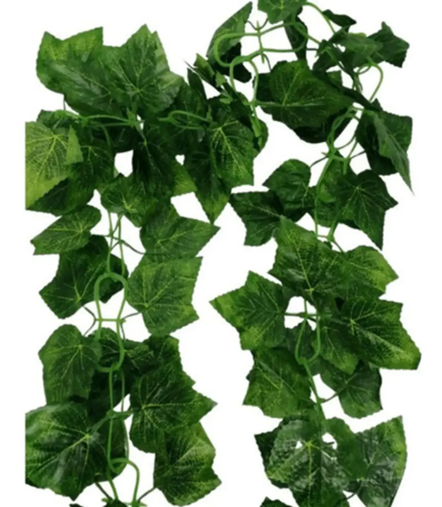 Enredadera Paquete X 2und De 240 Cm Hoja Mata Flor Uva 2