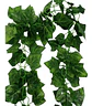 Enredadera Paquete X 2und De 240 Cm Hoja Mata Flor Uva - Miniatura 2