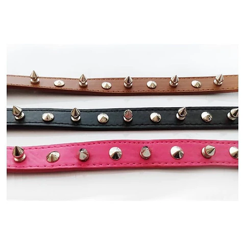 Mascotas correa collar taches perros gatos animales