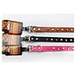 Mascotas correa collar taches perros gatos animales - Miniatura 2