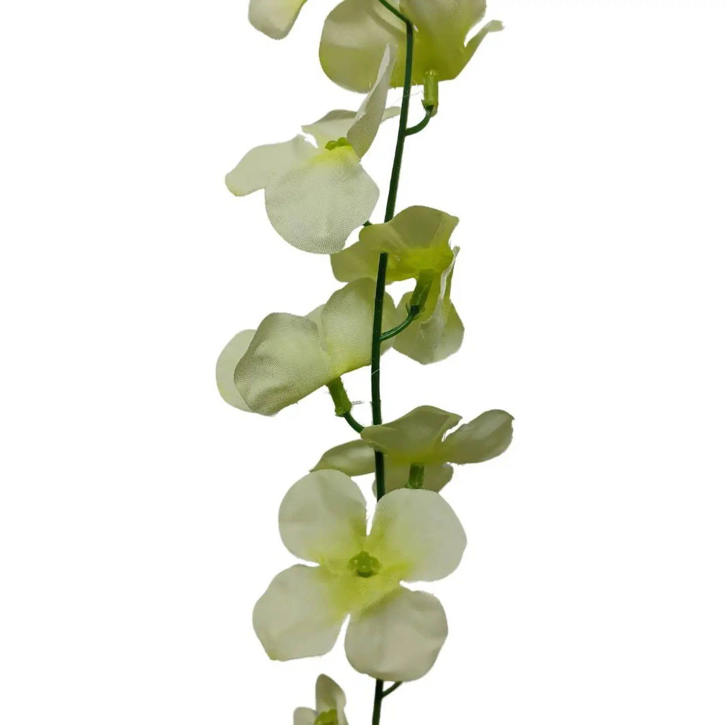 Enredadera 1 Paquete 210cm Hoja Mata Flores Rosas 3