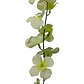 Enredadera 1 Paquete 210cm Hoja Mata Flores Rosas - Miniatura 3
