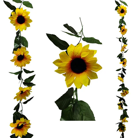 Enredadera Girasol 1 Paquete 200cm Mata Flores Rosas