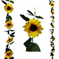 Enredadera Girasol 1 Paquete 200cm Mata Flores Rosas - Miniatura 1