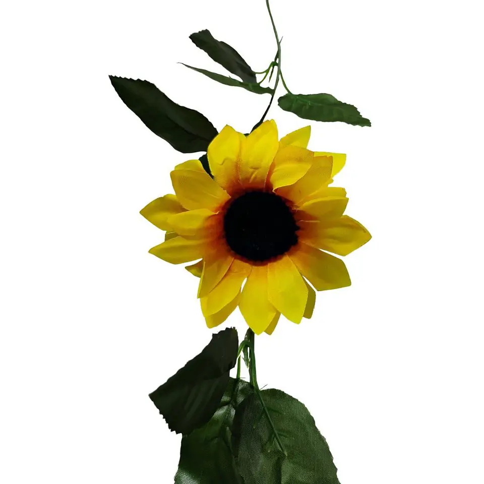 Enredadera Girasol 1 Paquete 200cm Mata Flores Rosas 3