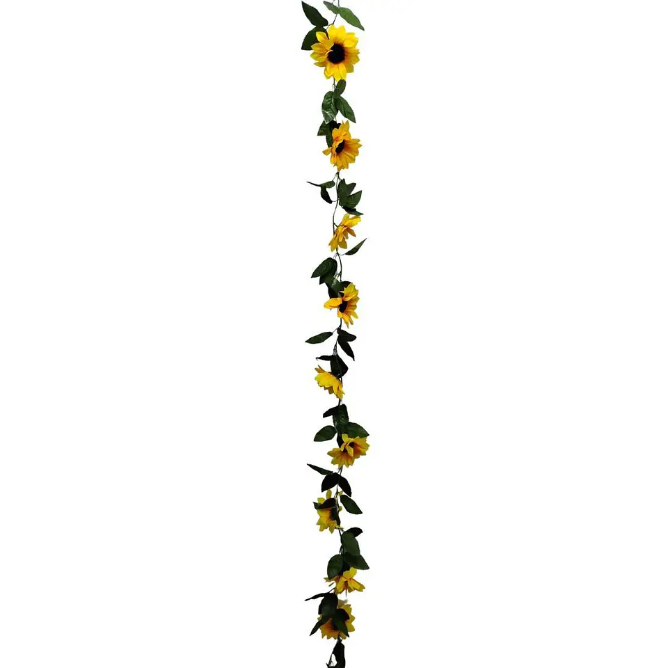 Enredadera Girasol 1 Paquete 200cm Mata Flores Rosas 4