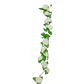 Enredadera Flor 1 Helecho 210 Cm Hoja Mata Rosas - Miniatura 2