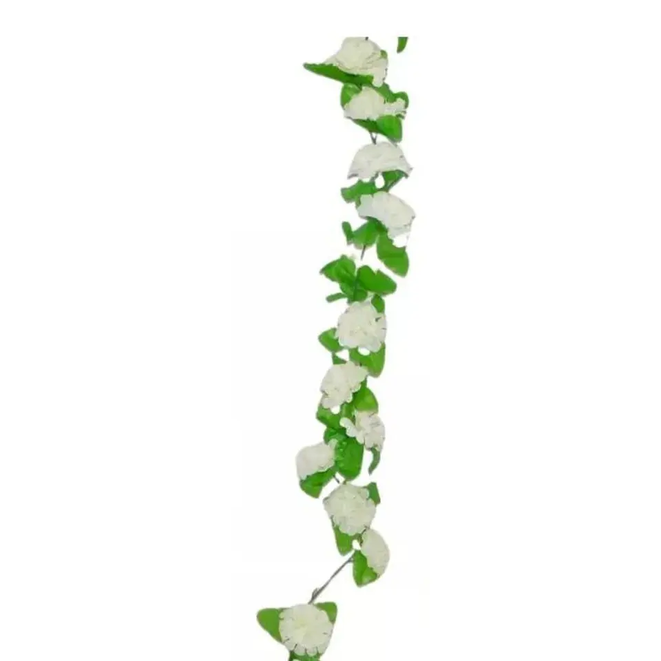 Enredadera Flor 1 Helecho 210 Cm Hoja Mata Rosas 2