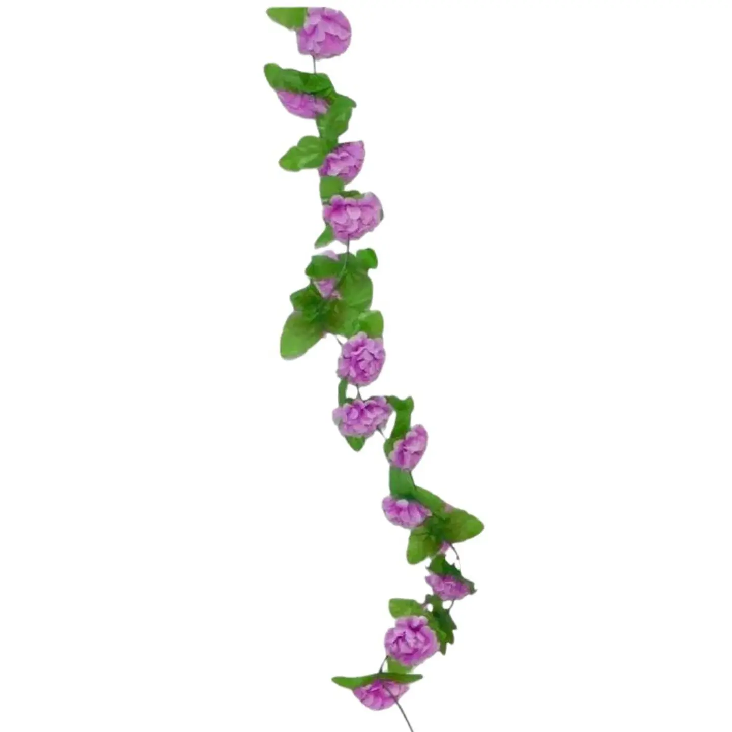 Enredadera Flor 1 Helecho 210 Cm Hoja Mata Rosas 4