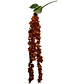 Enredadera Flor 105 Cm Hoja Mata Rosas - Miniatura 4