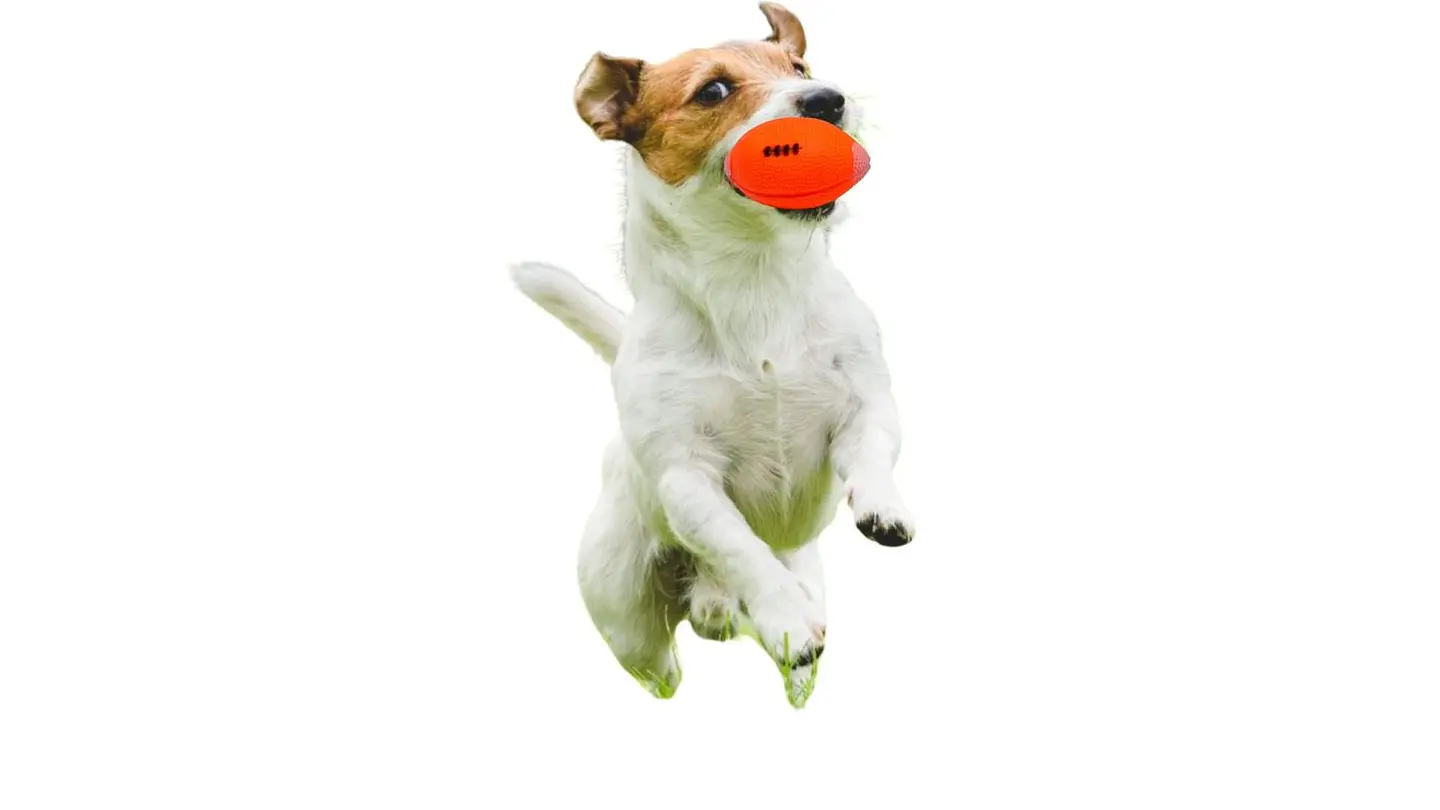 Balón Para Perro De Futbol Americano De Hule Cuatro Colores 2