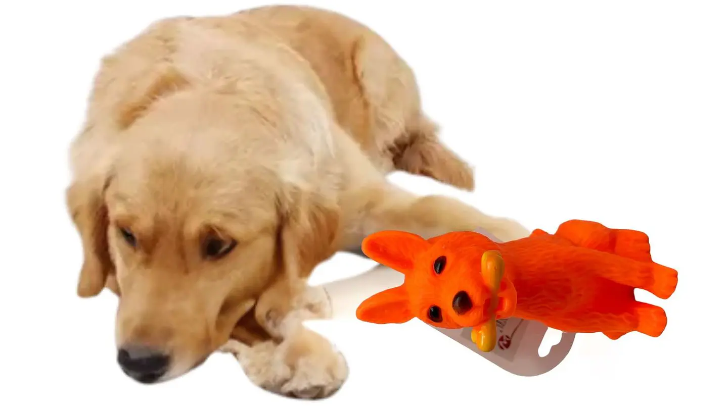 Juguete de goma para mascotas en forma de perro viene en 3 colores 2