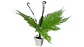 Helecho Mata Jardín Flores 35cm Artificial Decorativo Planta - Miniatura 2