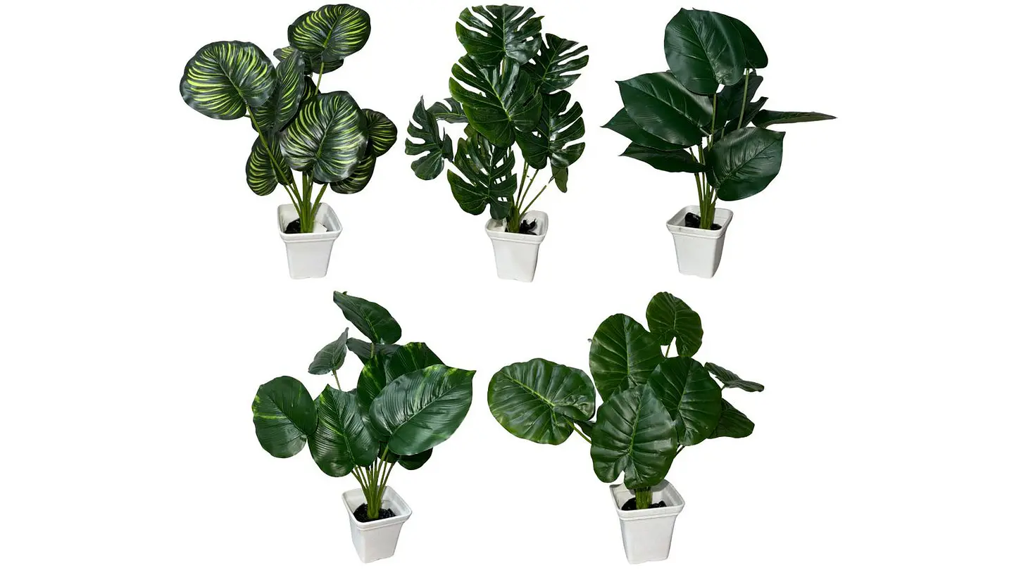 Planta Artificial Hojas Balazo Decoración X1 Und Jardines 1