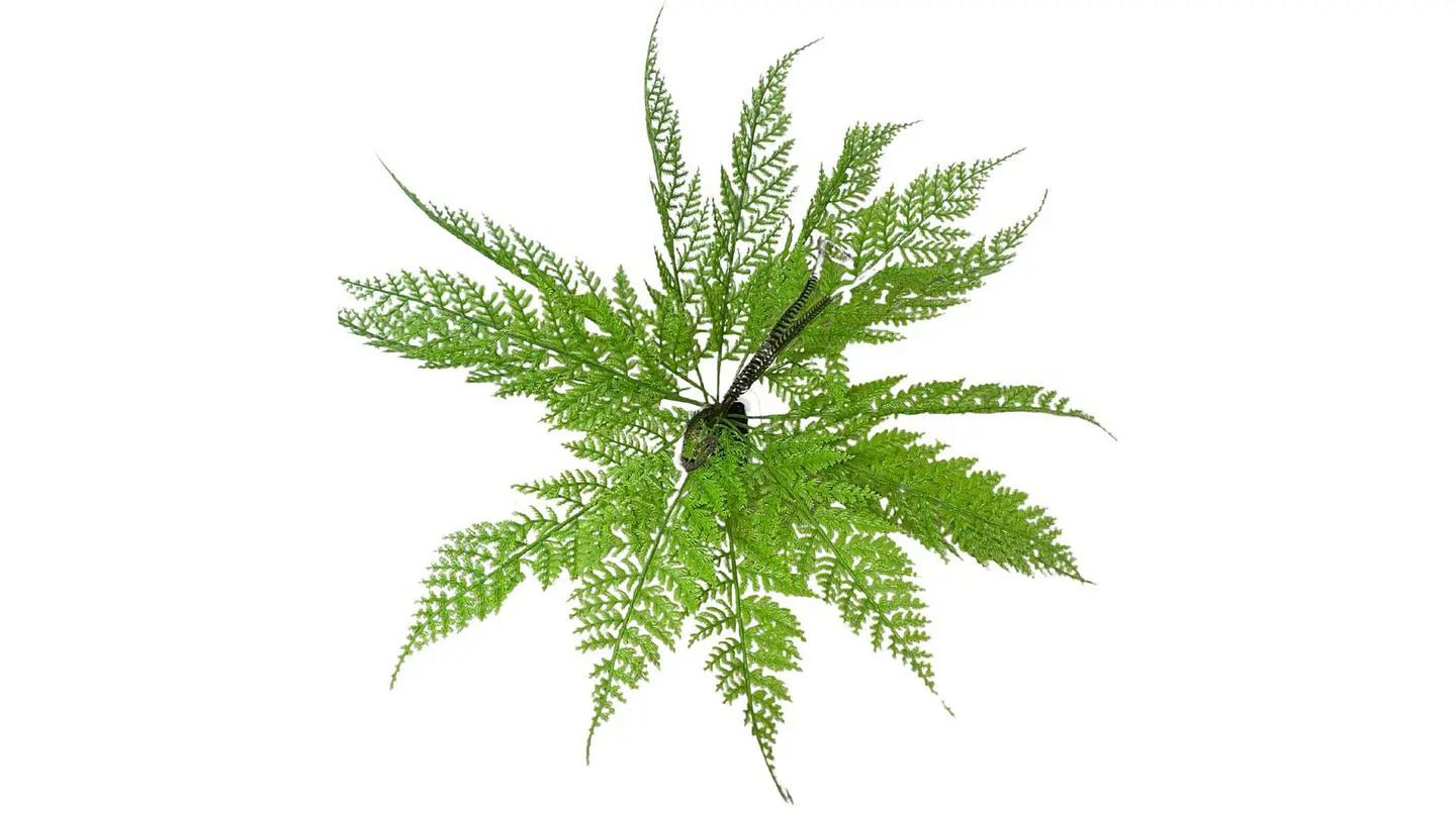 Helecho Mata Jardín Flores 35cm Artificial Decorativo Planta 3
