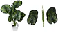 Planta Artificial Hojas Balazo Decoración X1 Und Jardines - Miniatura 2