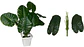 Planta Artificial Hojas Balazo Decoración X1 Und Jardines - Miniatura 3