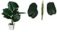Planta Artificial Hojas Balazo Decoración X1 Und Jardines - Miniatura 5