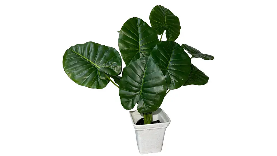 Planta Artificial Hojas Balazo Decoración X1 Und Jardines 7
