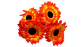 Gerbera Margarita Ramo Flores Artificiales Decoración Jardín - Miniatura 4