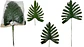 Palmeras Decorativa Artificial Mata De Hojas Packx12und 50cm - Miniatura 1