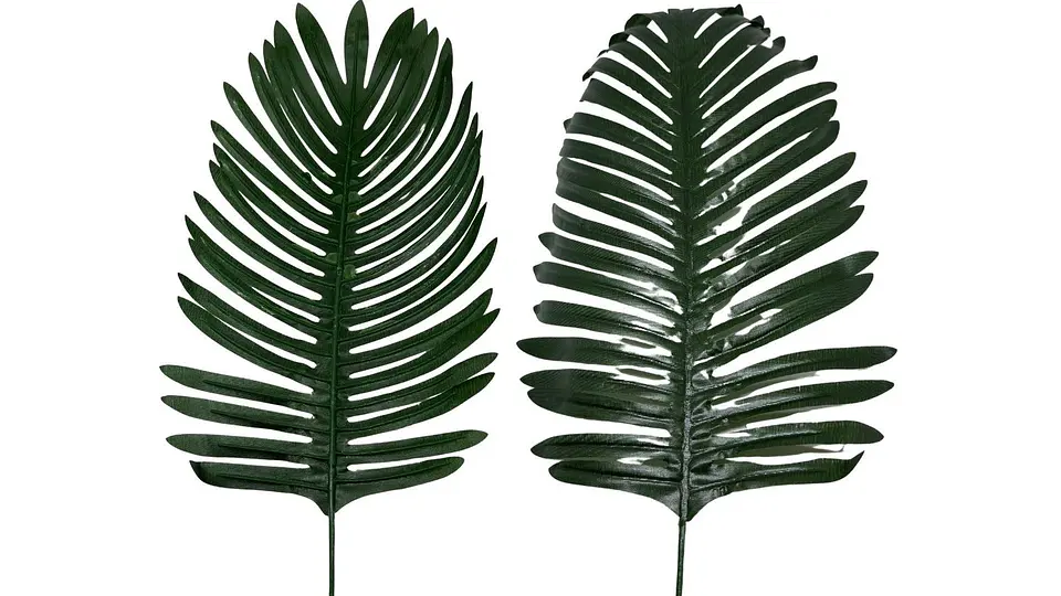 Hojas de Palmeras Decorativa Artificial Mata De Hojas Packx12und 53cm 3