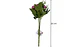 Ramo De Peonias Flores Decorativa Artificial 8 Flores 1 Ramo - Miniatura 7