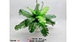 Mata Artificial Helecho Flor Decoración Centro De Mesa Maceta verde - Miniatura 5