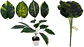 Planta De Hojas Mata Verde Plástico Decoración Artificiales - Miniatura 1
