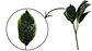 Planta De Hojas Mata Verde Plástico Decoración Artificiales - Miniatura 3