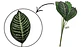 Planta De Hojas Mata Verde Plástico Decoración Artificiales - Miniatura 5